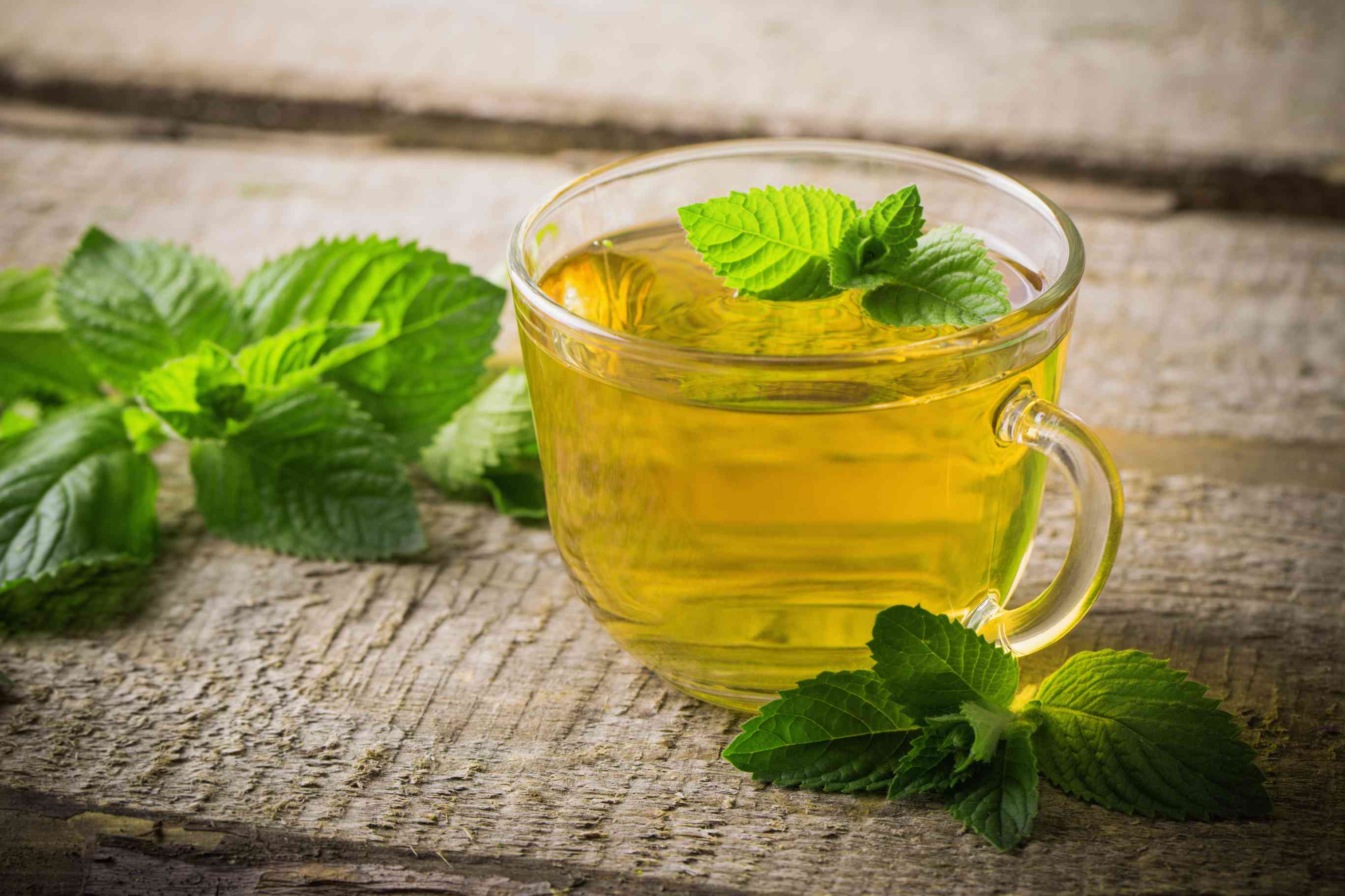 Spearmint Tea Wholesale Manufacturer & Supplier in India